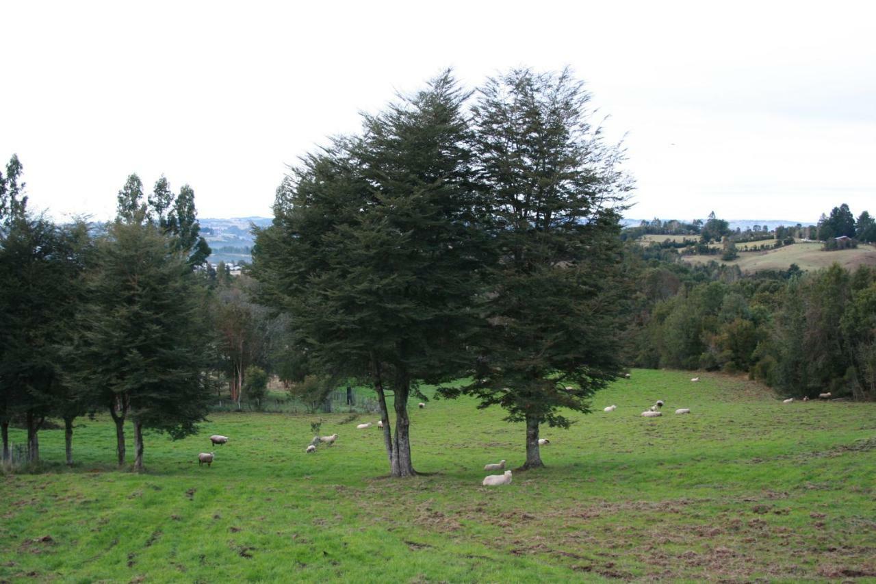 הוילה קסטרו Agroturismo Los Colihues מראה חיצוני תמונה